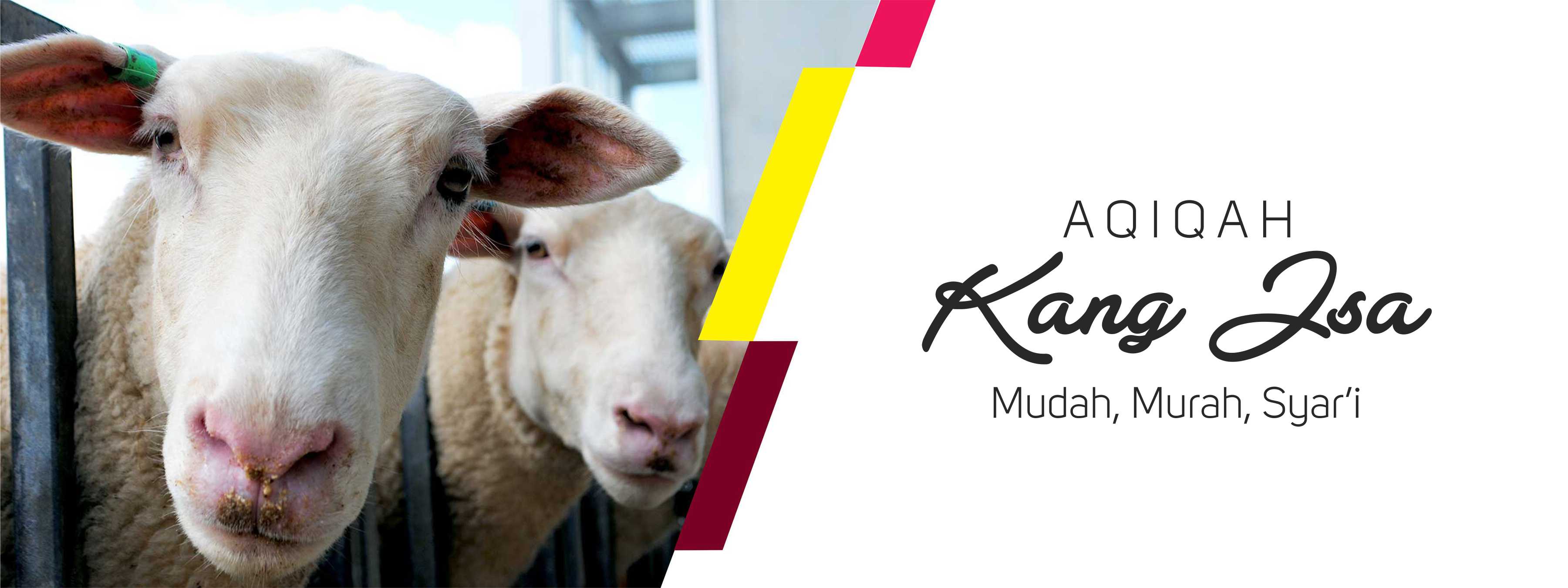 bgwal-aqiqah-kangisa